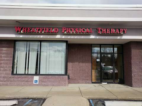 Jobs in Wheatfield Physical Therapy - reviews